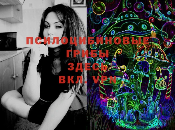 дживик Карпинск