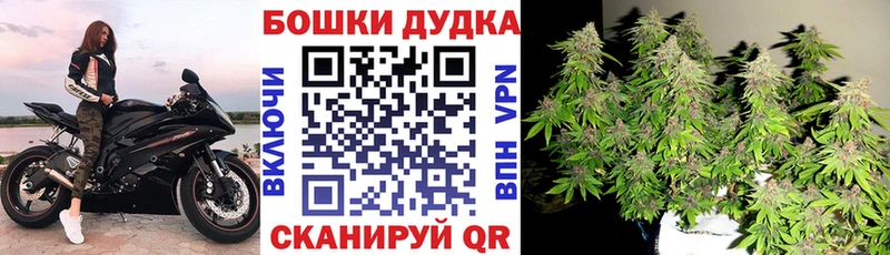 Бошки Шишки конопля  Купить где  Моршанск 